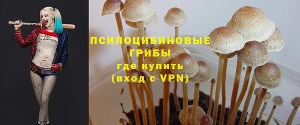герыч Алексин