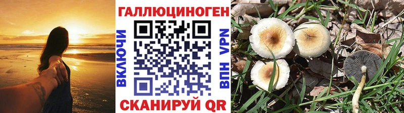 Галлюциногенные грибы мухоморы Новотитаровская