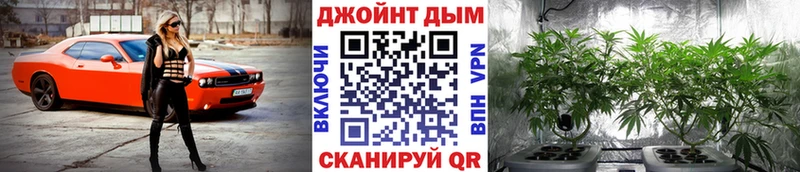 Шишки марихуана марихуана  купить наркоту  Новотитаровская 